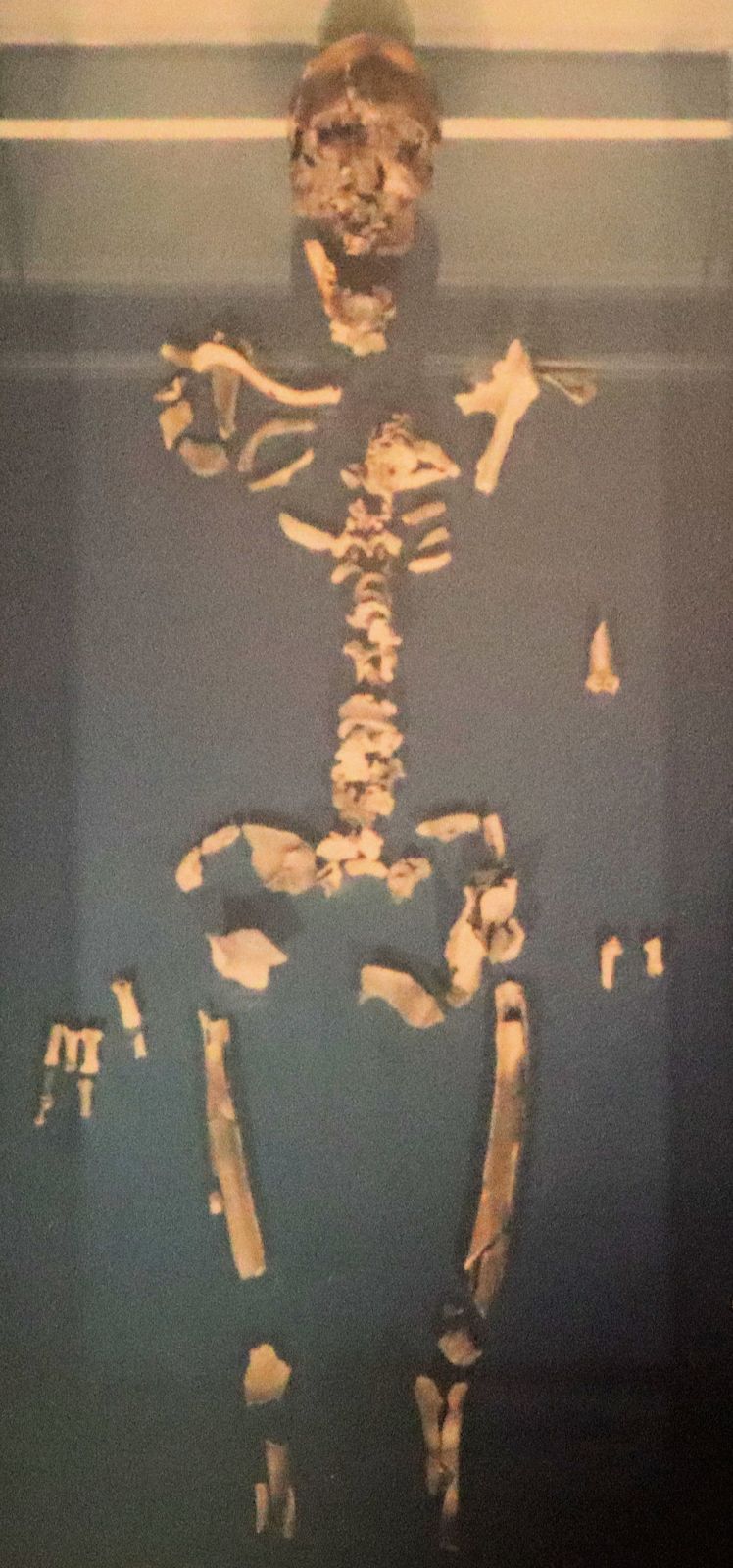 Thomas' Reliquien in der Kathedrale in Ortona